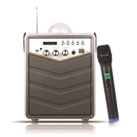 넥스트 NEXT-BT30AMP 스피커 블루투스 휴대용 무선마이크 노래방 엠프 미러볼