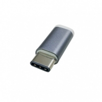 랜스타 LS-U31M-CM2MBF-S USB 3.1 Type C 젠더 실버
