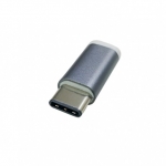 랜스타 LS-U31M-CM2MBF-S USB 3.1 Type C 젠더 실버